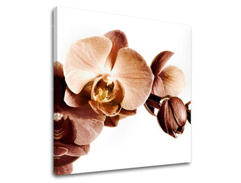 Stenska slika FLOWERS XOBKV110E12