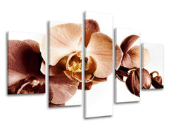 5-delna stenska slika FLOWERS XOBKV110E50