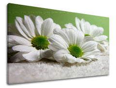 Stenska slika FLOWERS XOBKV111E11