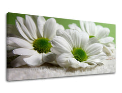 Stenska slika Panorama FLOWERS XOBKV111E13