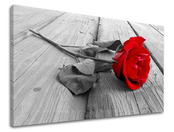 Stenska slika Cvetje vrtnic XOBKV115E11