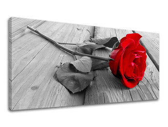 Stenska slika Panorama FLOWERS XOBKV115E13