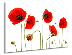 Stenska slika Cvetje MAKY XOBKV117E11