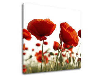 Stenska slika FLOWERS XOBKV118E12