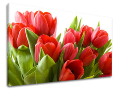 Stenska slika Cvetje TULIPANOV XOBKV120E11