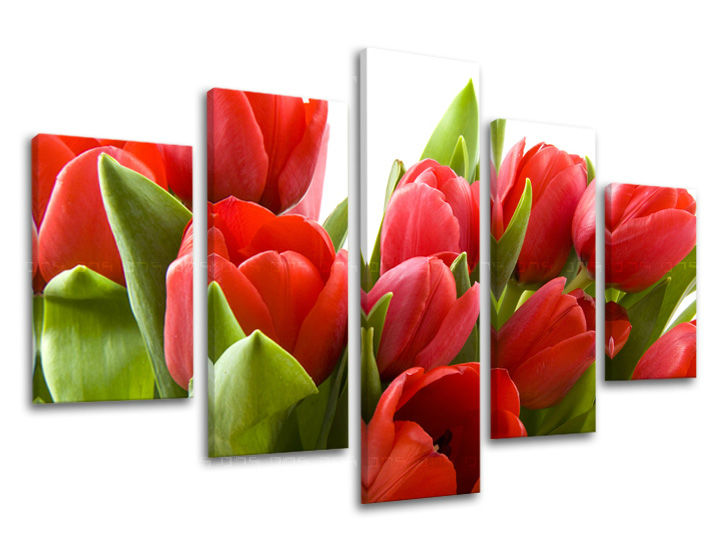 5-delna stenska slika FLOWERS XOBKV120E50