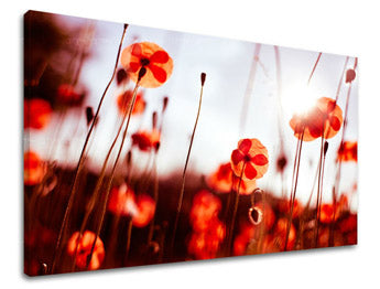 Stenska slika Cvetje MAKY XOBKV121E11