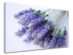 Stenska slika FLOWERS XOBKV122E11