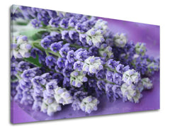 Stenska slika Cvetje XOBKV123E11