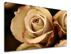 Stenska slika Cvetje vrtnic XOBKV124E11