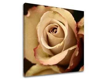 Stenska slika FLOWERS XOBKV124E12