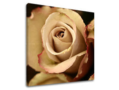 Stenska slika FLOWERS XOBKV124E12