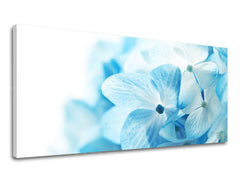 Stenska slika Panorama FLOWERS XOBKV127E13