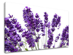 Stenska slika FLOWERS XOBKV128E11