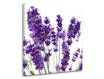 Stenska slika FLOWERS XOBKV128E12