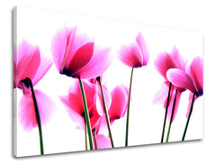 Stenska slika FLOWERS XOBKV129E11