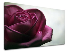 Stenska slika Cvetje vrtnic XOBKV130E11