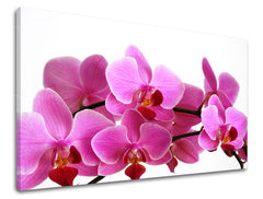 Stenska slika FLOWERS XOBKV133E11