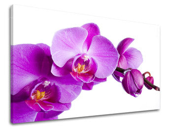 Stenska slika FLOWERS XOBKV135E11