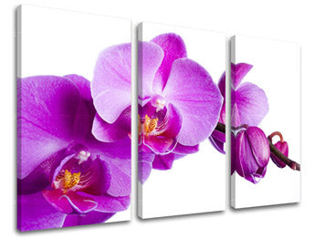 3-delna stenska slika FLOWERS XOBKV135E30