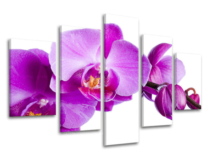 5-delna stenska slika FLOWERS XOBKV135E50