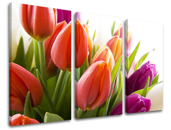 3-delna stenska slika FLOWERS XOBKV138E30