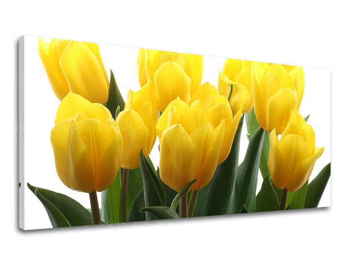 Stenska slika Panorama FLOWERS XOBKV141E13