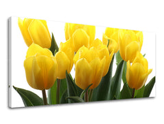 Stenska slika Panorama FLOWERS XOBKV141E13