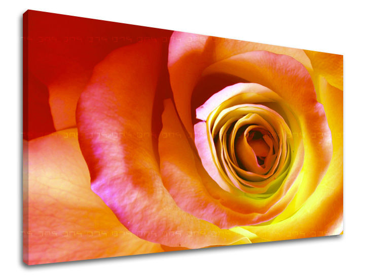 Stenska slika Cvetje vrtnic XOBKV142E11