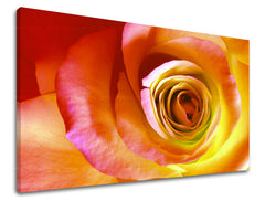 Stenska slika Cvetje vrtnic XOBKV142E11