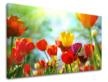 Stenska slika Cvetje TULIPANOV XOBKV145E11