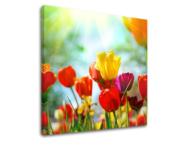 Stenska slika FLOWERS XOBKV145E12