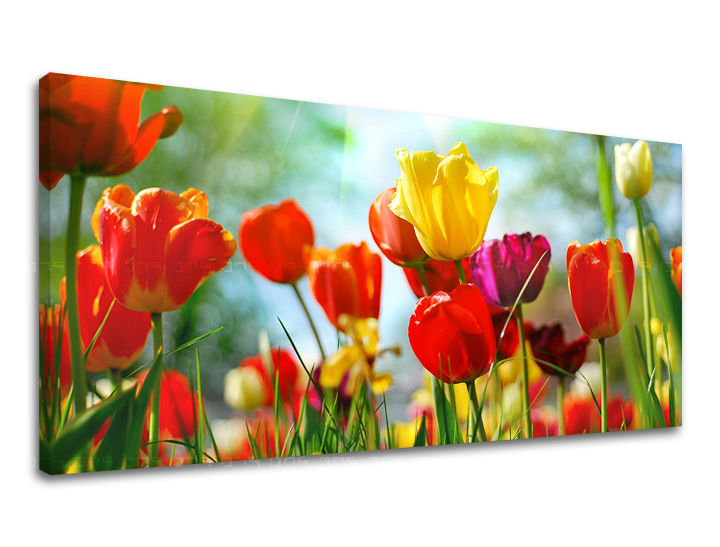 Stenska slika Panorama FLOWERS XOBKV145E13