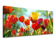 Stenska slika Panorama FLOWERS XOBKV145E13