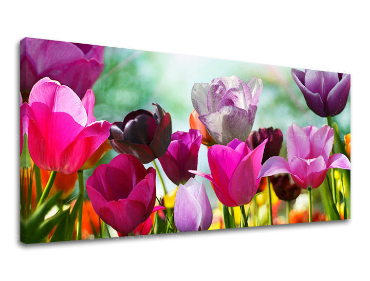 Stenska slika Panorama FLOWERS XOBKV148E13