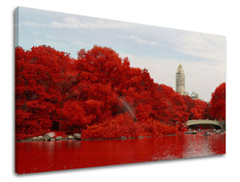 Slikanje sten CITY ME016E11