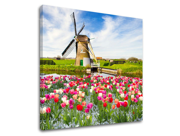 Slikanje sten MESTO ME101E12