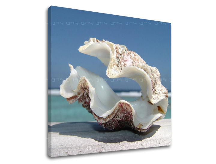 Stenska poslikava BEACH PL005E12