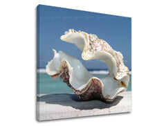 Stenska poslikava BEACH PL005E12