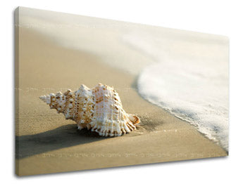 Stenska poslikava BEACH PL006E11