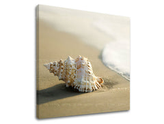 Stenska poslikava BEACH PL006E12