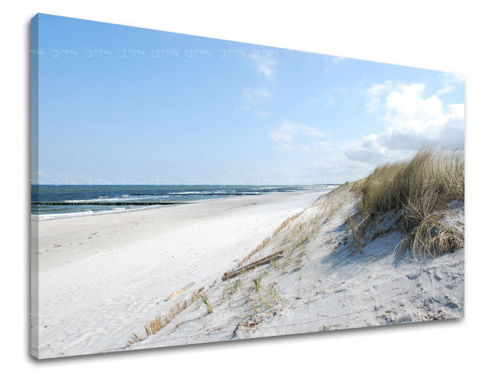 Stenska poslikava BEACH PL019E11