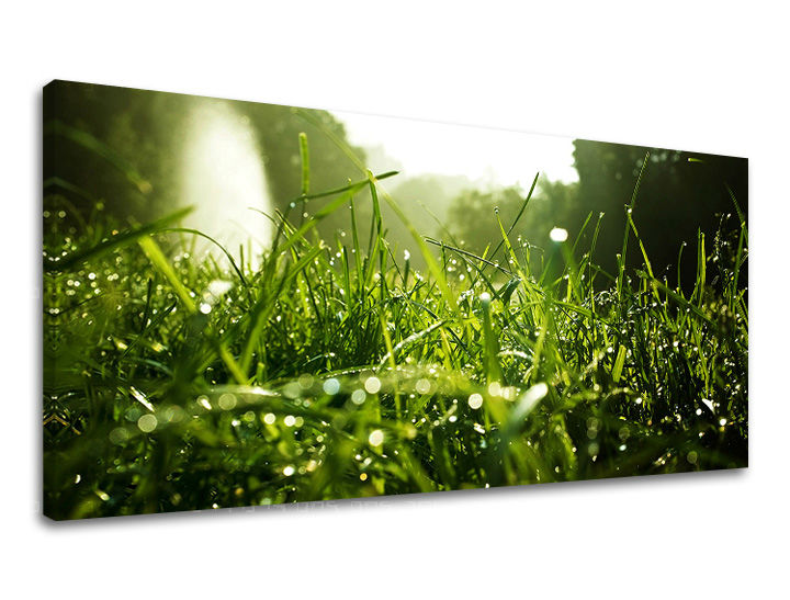 Stenska poslikava PANORAMA PLANTS RA001E13