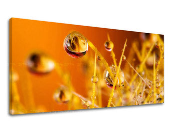 Stenska poslikava PANORAMA PLANTS RA002E13