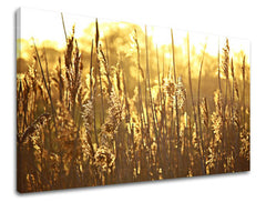 Stenska slika RASTLINY RA005E11