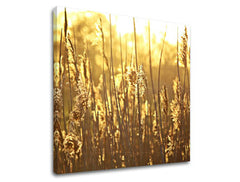 Stenska slika RASTLINY RA005E12