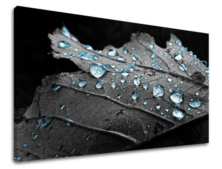 Stenska slika RASTLINY RA006E11