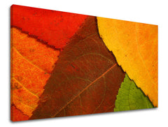 Stenska slika RASTLINY RA012E11