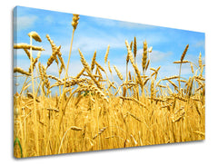 Stenska slika RASTLINY RA015E11