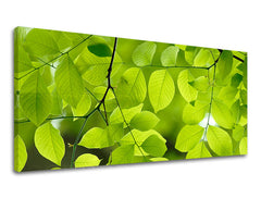 Stenska poslikava PANORAMA PLANTS RA016E13